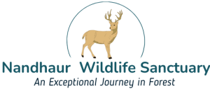 cropped-Nandhaur-Wildlife-Sanctuary.png